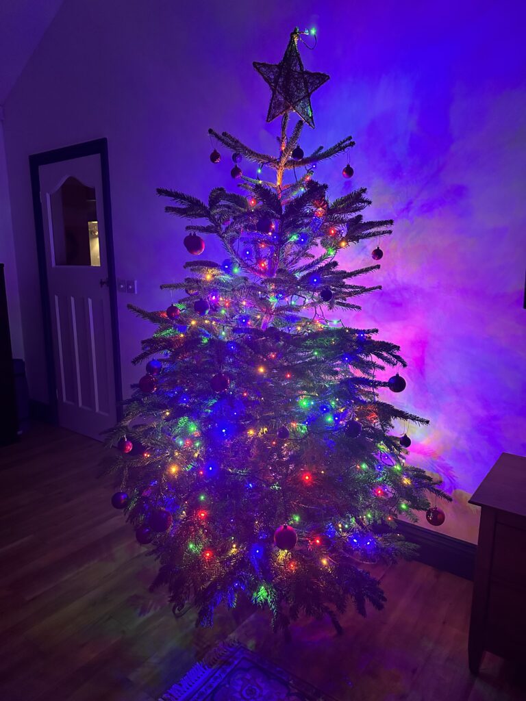 Photo shows a Christmas tree with lit fairy lights. 